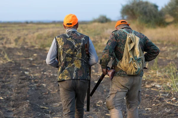 Tüfeğiyle Çayırda Yürüyen Sülün Avcıları — Stok fotoğraf