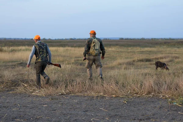 牧草地を歩く散弾銃を持つキジハンター — ストック写真