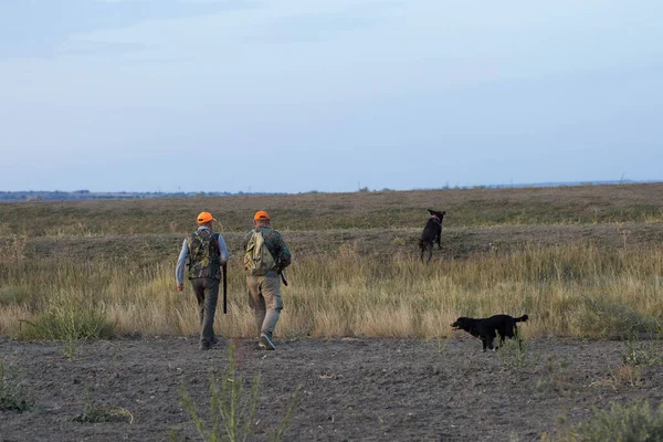 Chasseurs Faisans Avec Fusil Chasse Marchant Dans Une Prairie — Photo