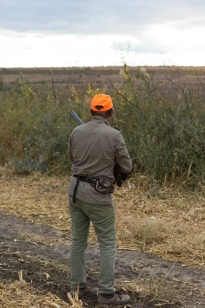 Pheasant Hunter Shotgun Walking Meadow — Stock Photo, Image