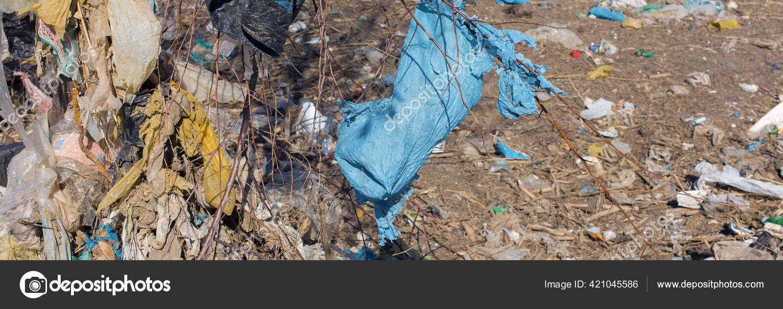 Bolsas Botellas Plástico Vertedero Liberación Autorizada Basura