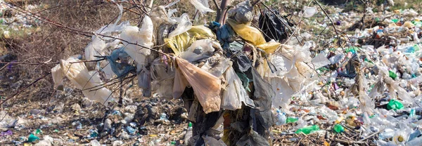 Çöp Sahasında Plastik Torbalar Şişeler Zinsiz Çöp Salınımı Doğanın Kirliliği — Stok fotoğraf