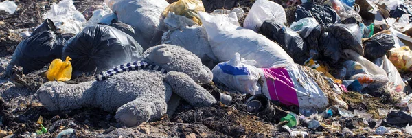 Oyuncak Ayı Çöp Sahasının Ortasına Atılmış Bir Şekilde Yatıyor Çevre — Stok fotoğraf