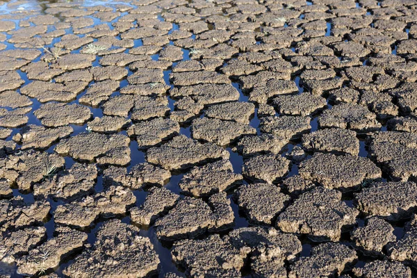 Part Huge Area Dried Land Suffering Drought Cracks — Stock fotografie