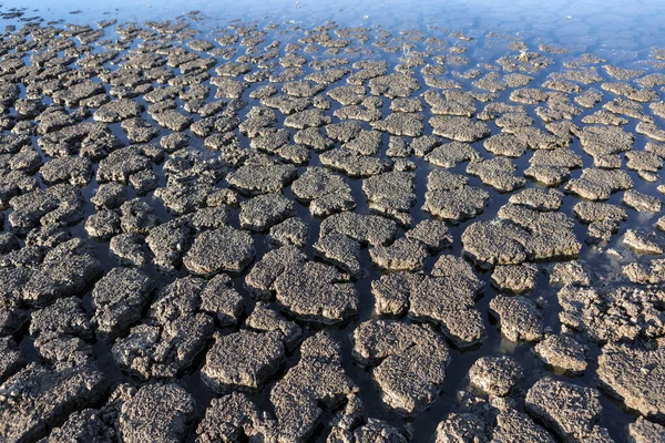 Part Huge Area Dried Land Suffering Drought Cracks — Stock fotografie