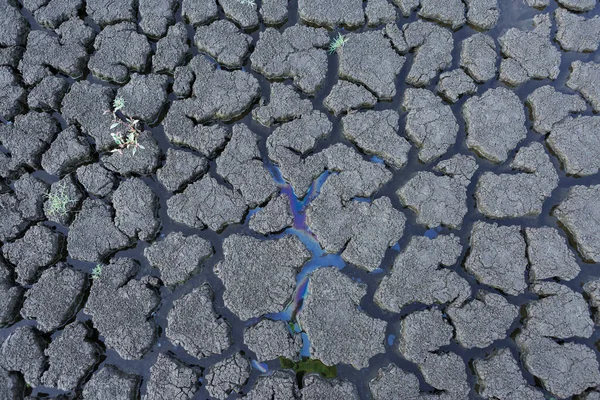 Part Huge Area Dried Land Suffering Drought Cracks — Stock fotografie