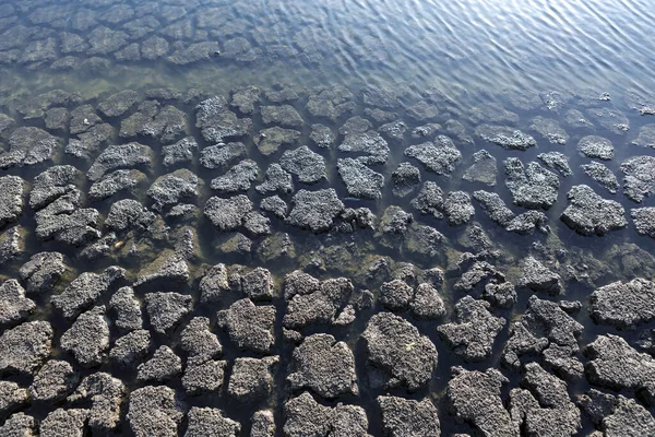 Part Huge Area Dried Land Suffering Drought Cracks — Foto de Stock