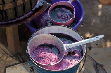 Şarap üreticisi varillere taşınmak için üzüm suyu döker..