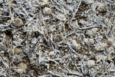 Çatlaklardaki kuraklıktan muzdarip kurumuş büyük bir arazinin parçası..