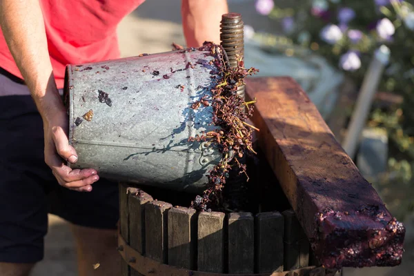 Vigneron Verse Des Matières Premières Dans Presse Production Vins Italiens — Photo