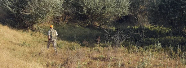 Πάπια Κυνηγός Κυνηγετικό Όπλο Περπατώντας Μέσα Από Ένα Λιβάδι — Φωτογραφία Αρχείου