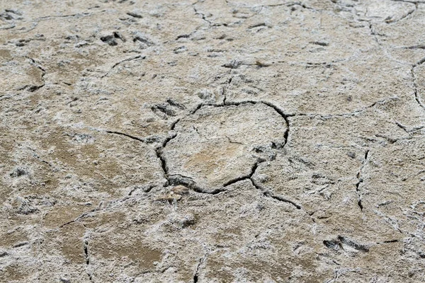 Parte Uma Enorme Área Terra Seca Que Sofre Seca Rachaduras — Fotografia de Stock