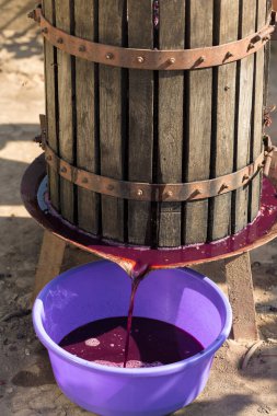 Kırmızılı şarap presi ve sarmal vida. Geleneksel İtalyan şarabı üretimi, üzüm ezme.