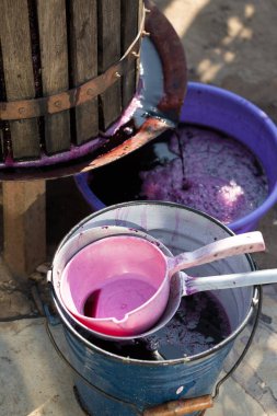 Şarap üreticisi varillere taşınmak için üzüm suyu döker..