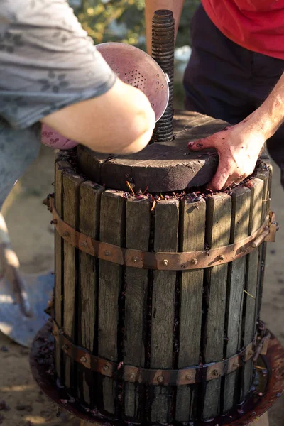 Prensa Vino Con Mosto Rojo Tornillo Helicoidal Producción Vinos Tradicionales —  Fotos de Stock