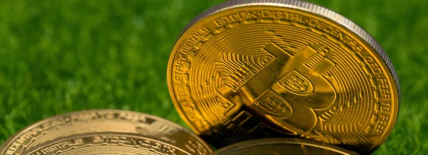 加密的金币 比特币 利托品和人造青草为背景的金币 虚拟货币概念 — 图库照片
