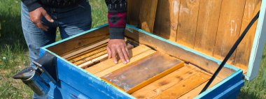 Arı kovanındaki bir çiftçi balmumu petekleriyle çerçeveleri tutar. Bal koleksiyonu için planlanmış hazırlık.