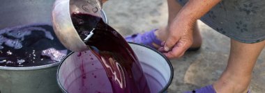 Şarap üreticisi varillere taşınmak için üzüm suyu döker..