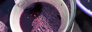 Şarap üreticisi varillere taşınmak için üzüm suyu döker..