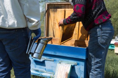 Arı kovanındaki bir çiftçi balmumu petekleriyle çerçeveleri tutar. Bal koleksiyonu için planlanmış hazırlık.