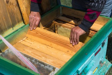 Arı kovanındaki bir çiftçi balmumu petekleriyle çerçeveleri tutar. Bal koleksiyonu için planlanmış hazırlık.