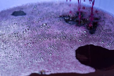 Üzüm suyu sonbahar hasadı sırasında kapanıyor. Geleneksel şarap yapma tekniği. Üzüm filtreleme.