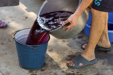 Şarap üreticisi varillere taşınmak için üzüm suyu döker..