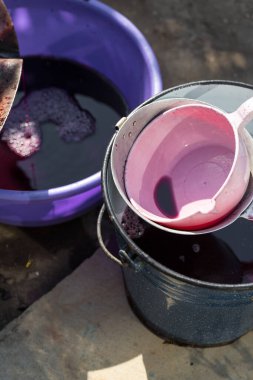 Şarap üreticisi varillere taşınmak için üzüm suyu döker..