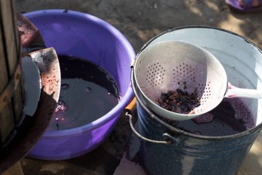 Şarap üreticisi varillere taşınmak için üzüm suyu döker..