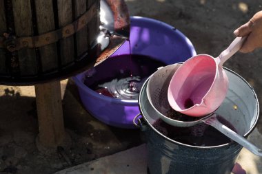 Şarap üreticisi varillere taşınmak için üzüm suyu döker..