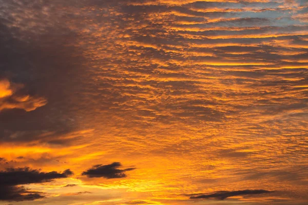 Ciel Enflammé Dramatique Coucher Soleil Doré Fantastique — Photo