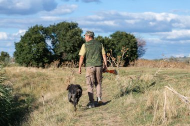 Silahlı bir avcı ve evcil köpekleri. Bir spanyel ve bir Alman telli işaret ejderhası bir sülün arıyor..