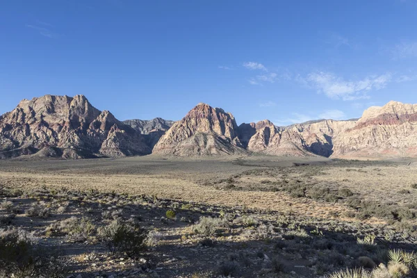 Red Rock Canyon Área de Conservação Nacional Nevada — Fotografia de Stock