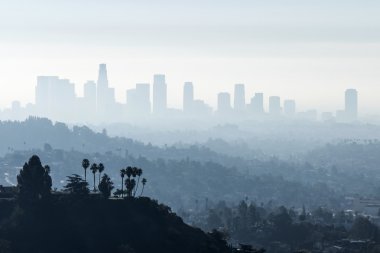 La Smoggy sis