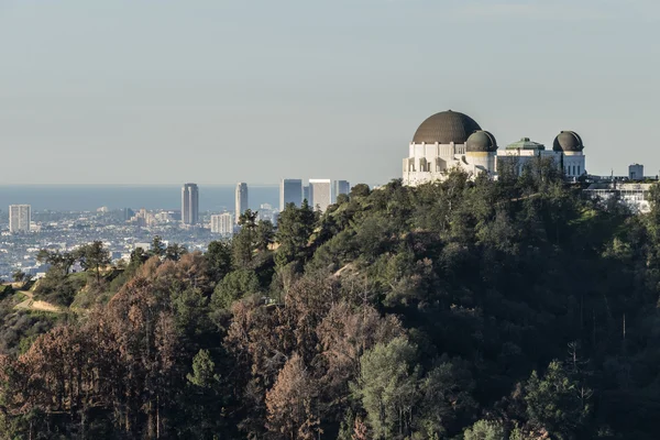 Griffith Park Observatory and Century City — Stock Photo, Image