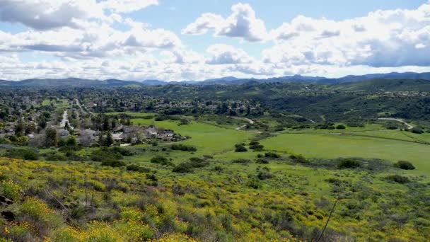 Miles de robles California Time Lapse — Vídeos de Stock