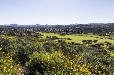 Güney California banliyö bahar