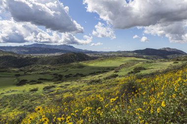 Thousand Oaks California