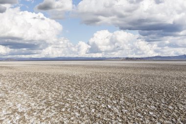 Tuzlu çöl kuru göl çamur daireler