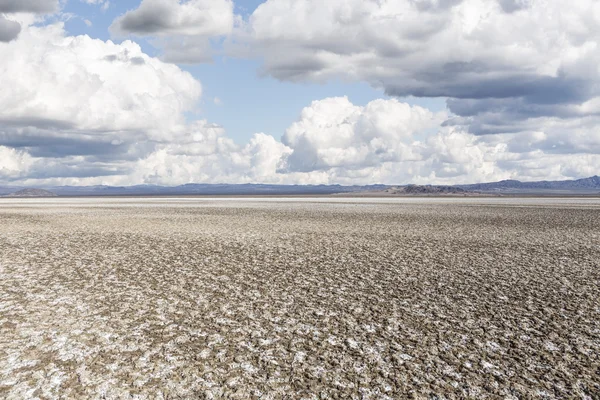 Salty Desert Dry Lake Mud Flats — Stock Photo, Image