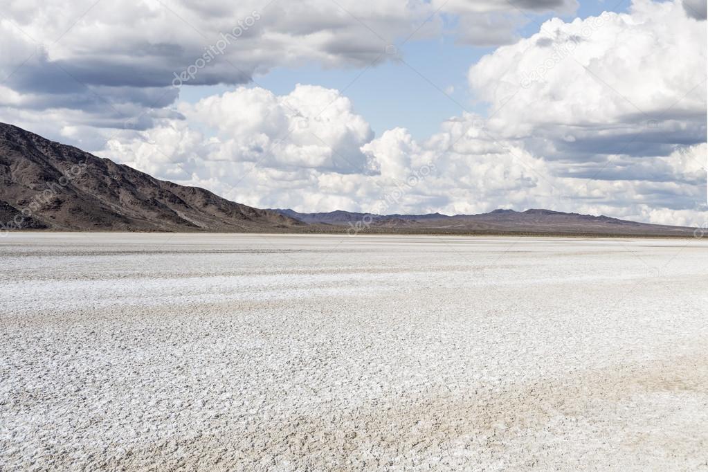 Mojave Desert