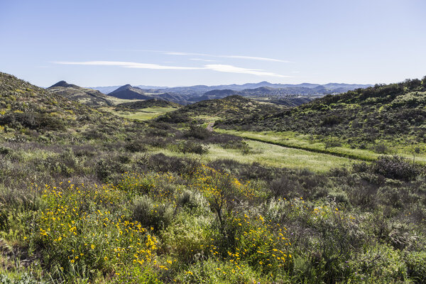 Округ Вентура
