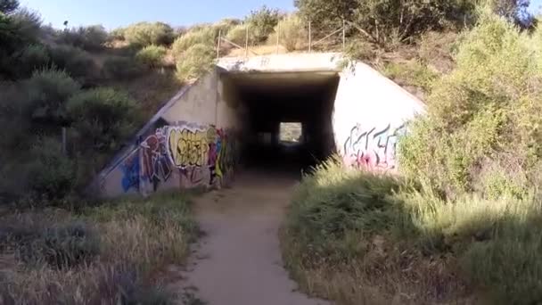 Graffiti llenó el túnel de vida silvestre bajo la autopista de Los Ángeles — Vídeos de Stock