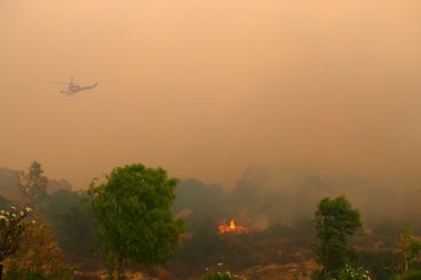 California vahşi ateş duman