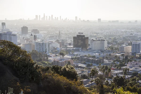 Hollywood Smog — Stock Fotó