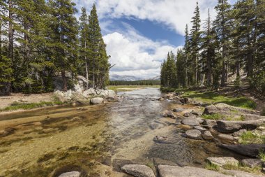 Toulumne nehir ve çayırlar