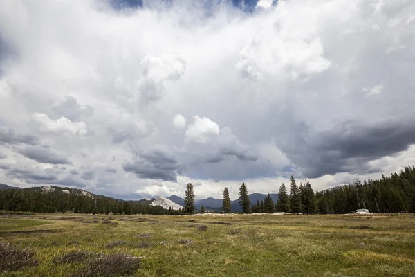 Toulumne Meadows Yosemite National Park — Stock Photo, Image