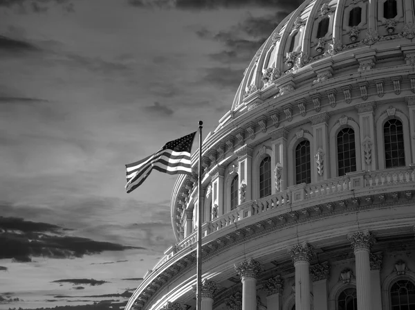 US Capitol DOme Black and White — Stock Photo, Image