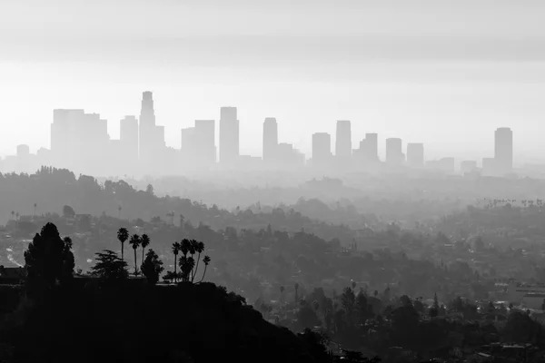 LA Smog e Nevoeiro Preto e Branco — Fotografia de Stock