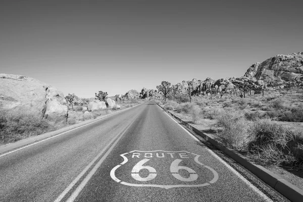 Joshua Tree Desert Highway with Route 66 Sign in Black and White — Stock Photo, Image